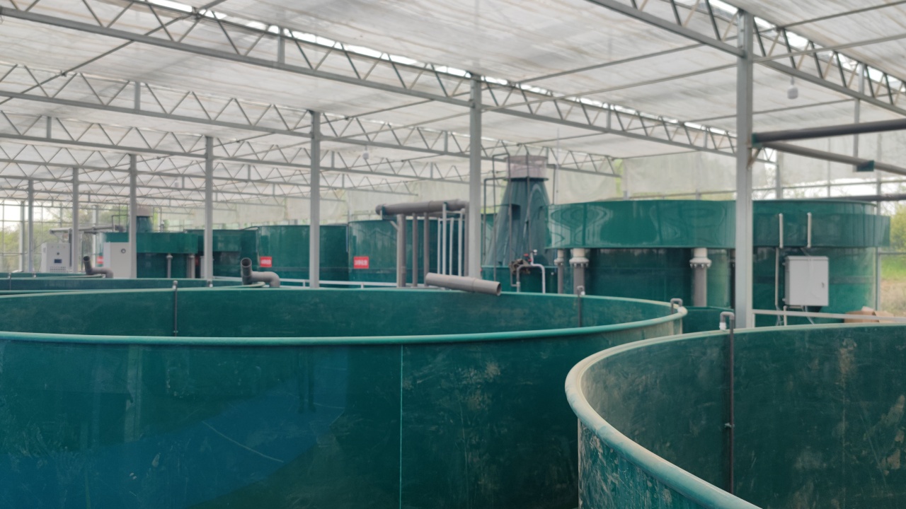 第五代技术建设村循环水养殖基地实景图 4