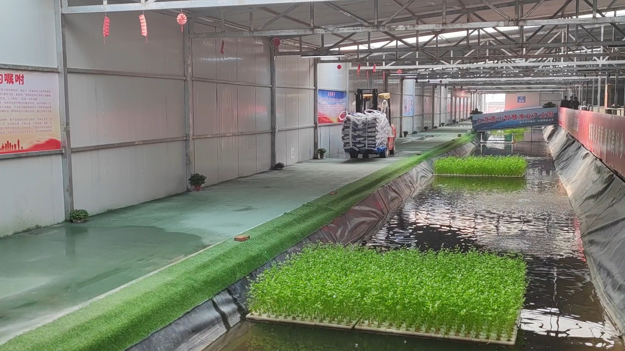 第三代技术青山智慧渔业产业园基地实景图 4