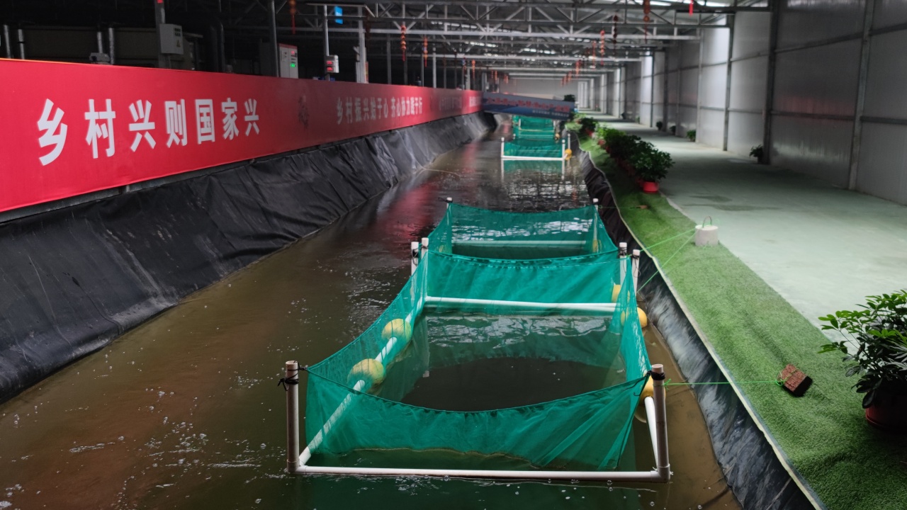 第三代技术青山智慧渔业产业园基地实景图 5