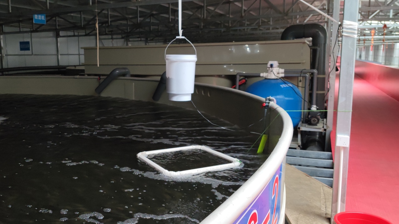 第三代技术青山智慧渔业产业园基地实景图 8