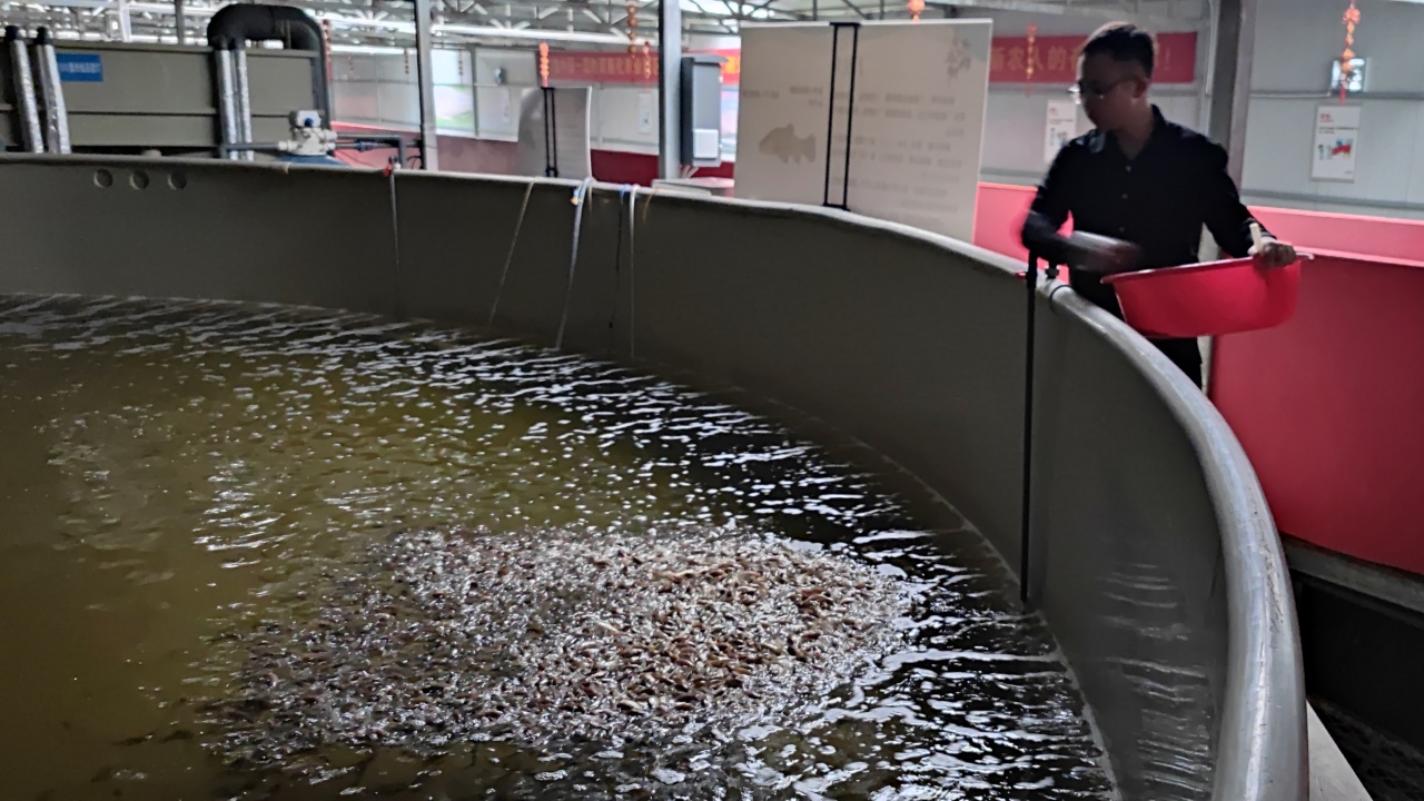 第三代技术青山智慧渔业产业园基地实景图 10