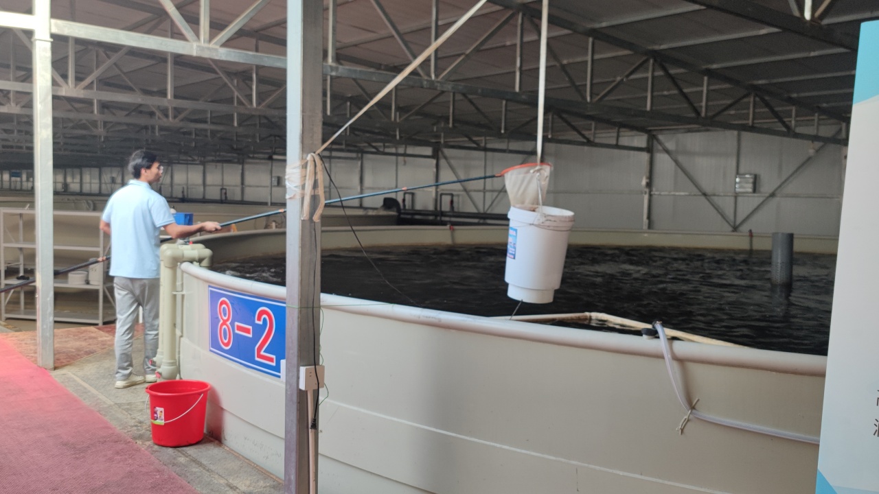 第三代技术青山智慧渔业产业园基地实景图 11