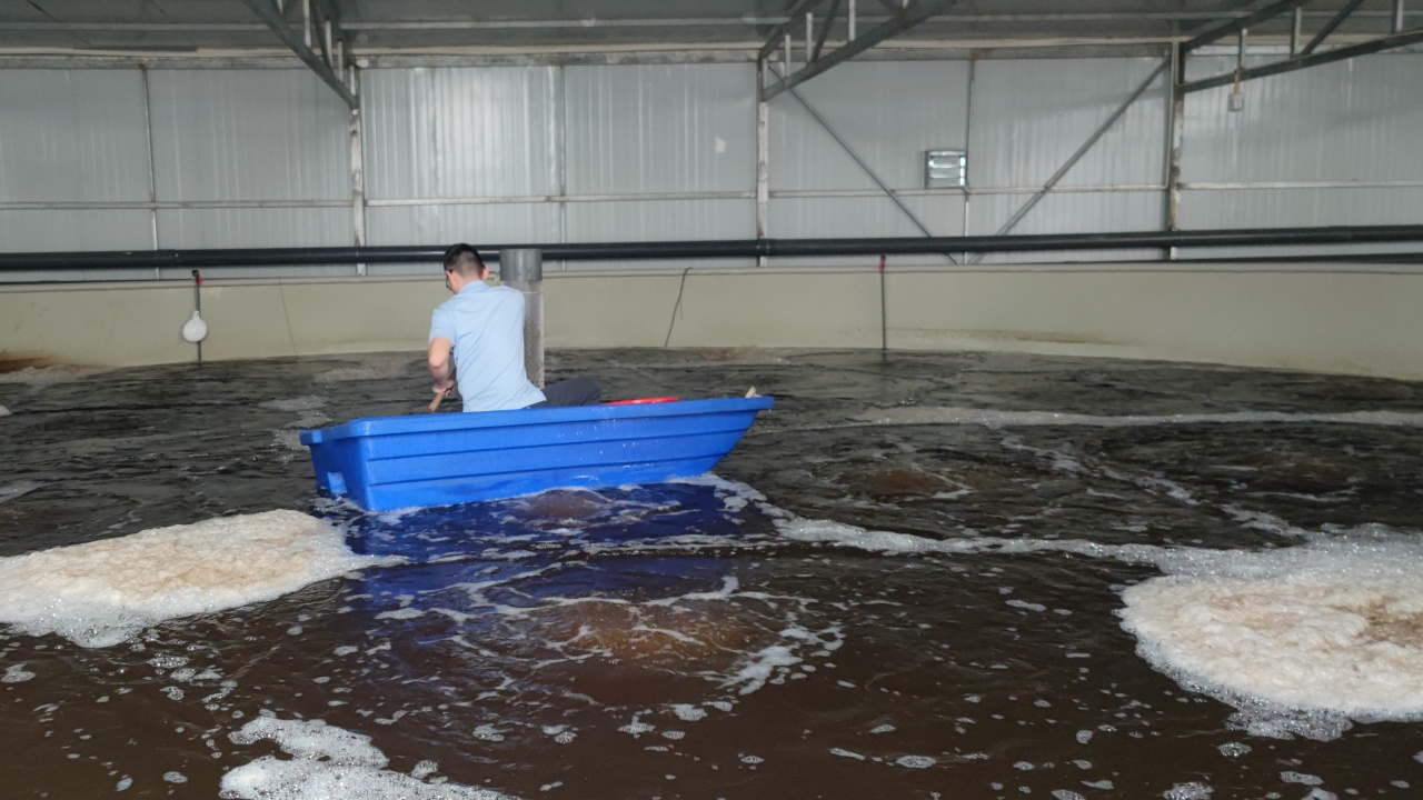 第三代技术青山智慧渔业产业园基地实景图 12