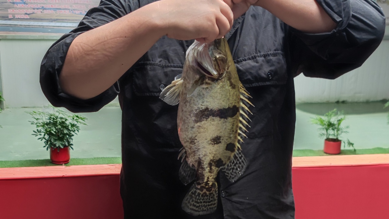 第三代技术青山智慧渔业产业园基地实景图 15