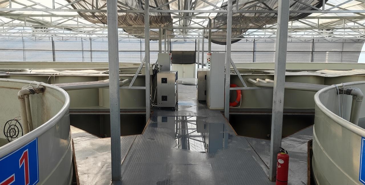 都岭基地实景 4