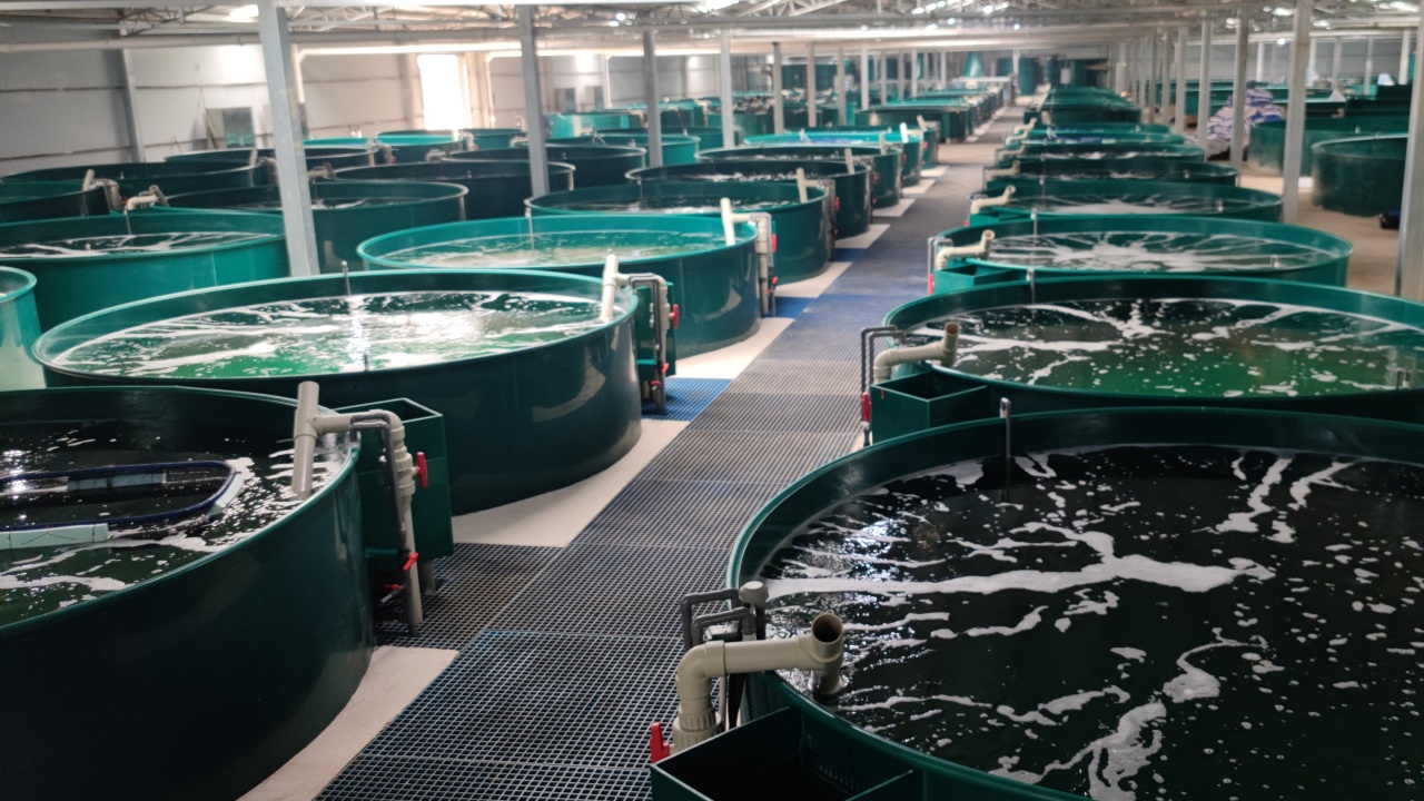 九派瑞光示范基地 4