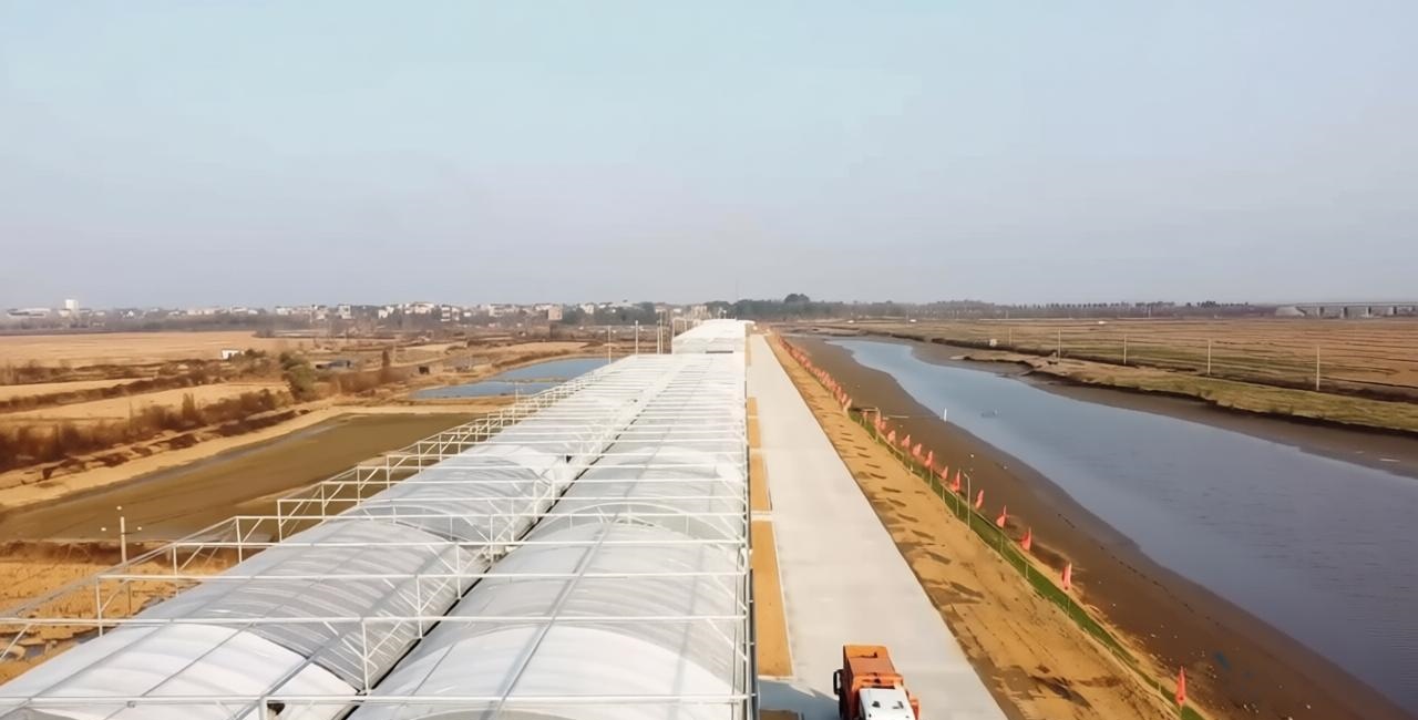 青山大棚基地