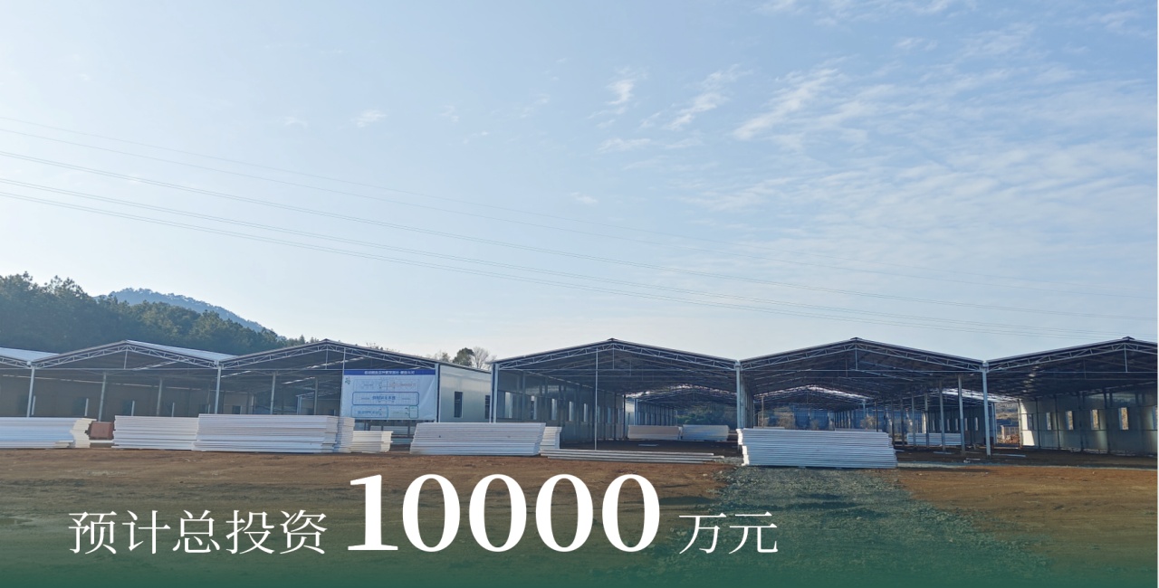 杨垅村基地实景 2