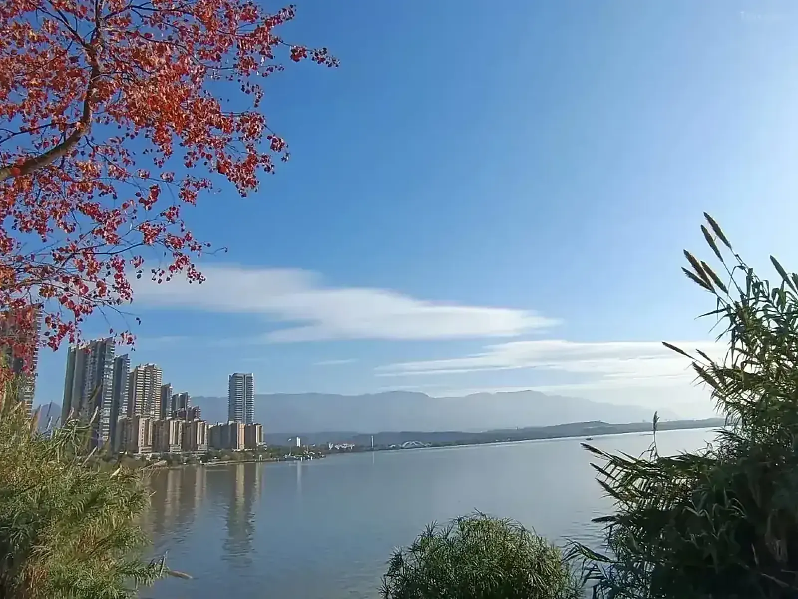 悦兮湖大酒店(九江市体育中心八里湖新区店)夜景