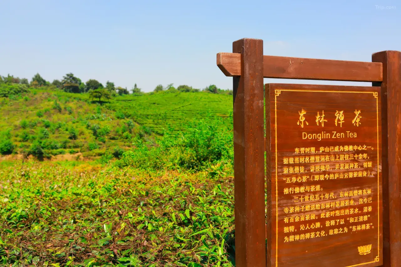 东林寺东林开元名庭酒店周边环境002