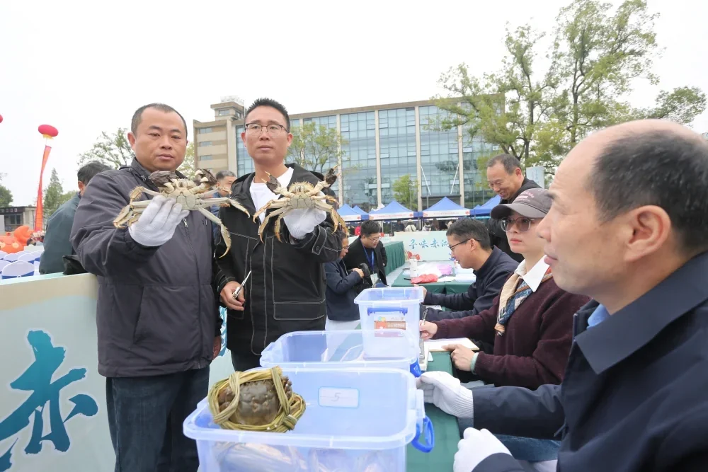 赤湖螃蟹节螃蟹比赛现场
