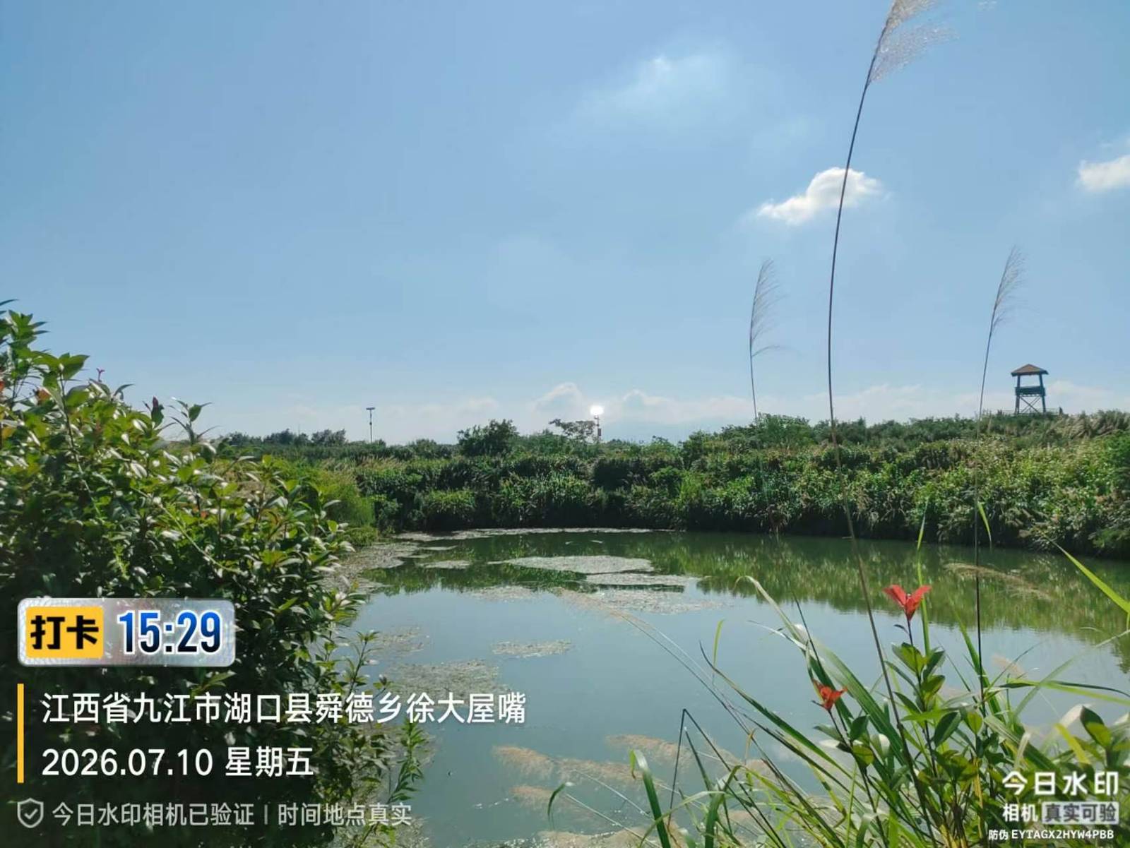 湖口县保温玻璃大棚循环水项目地块外景实拍