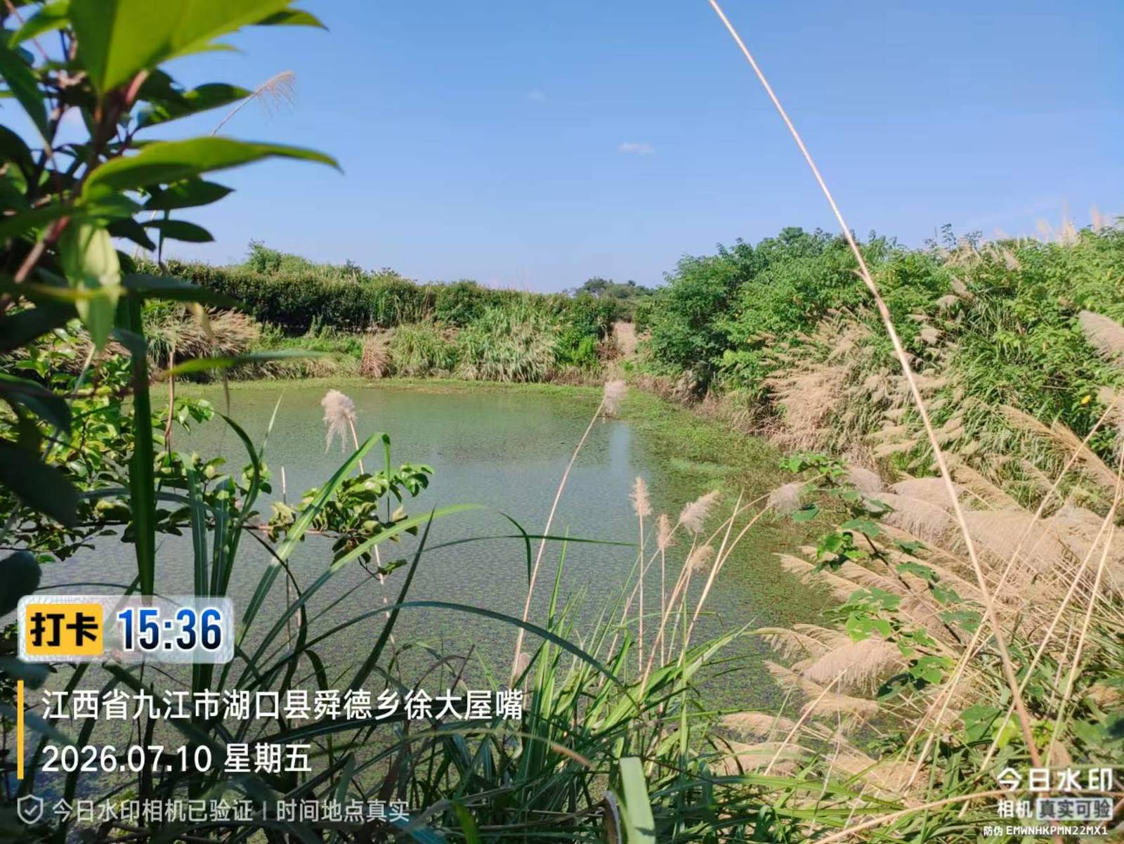 湖口县室内循环水养殖基地地块全景实拍
