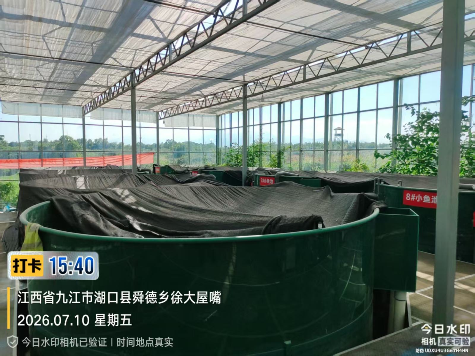 湖口县室内循环水养殖基地小池实拍