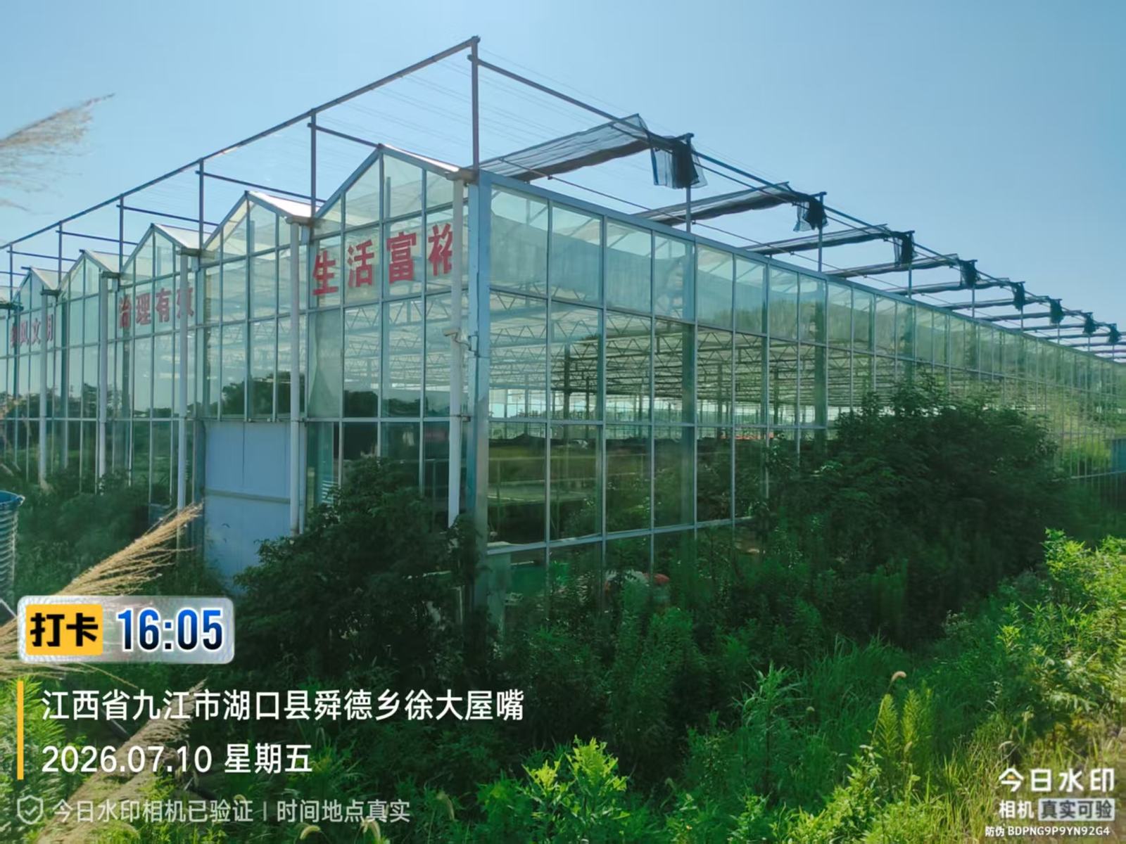 湖口RAS养殖基地信息系统实拍