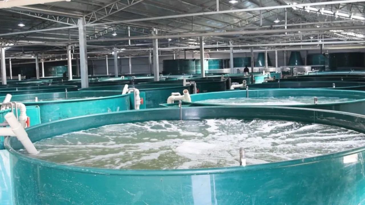 瑞昌市工厂化循环水养殖基地一号车间外景实拍