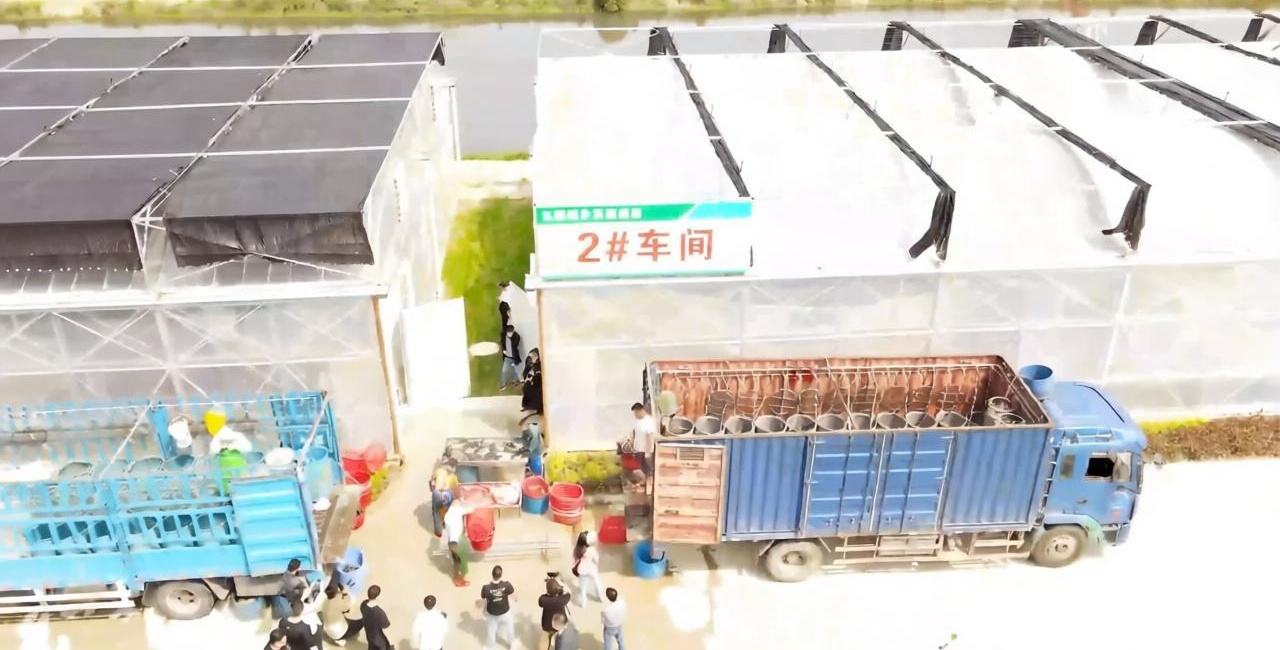 产业园建设现场设备安装实拍