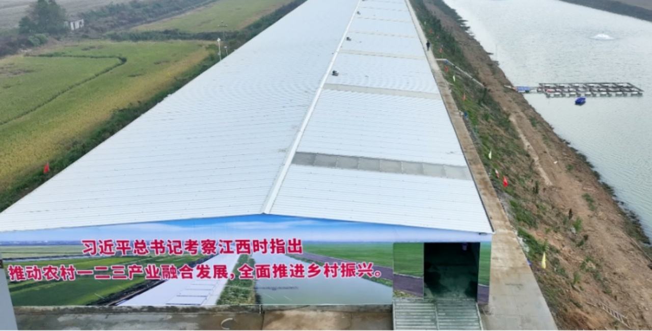 产业园整体风貌实拍